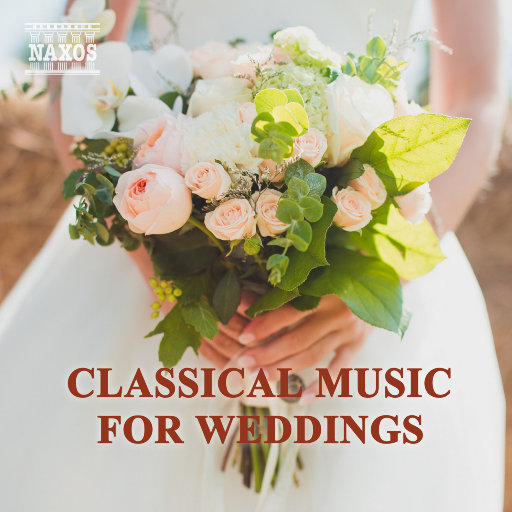 freeHD28❌❌❌网站
